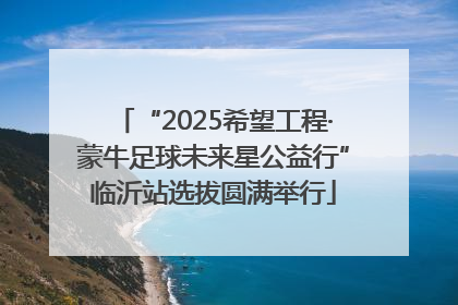 “2025希望工程·蒙牛足球未来星公益行”临沂站选拔圆满举行