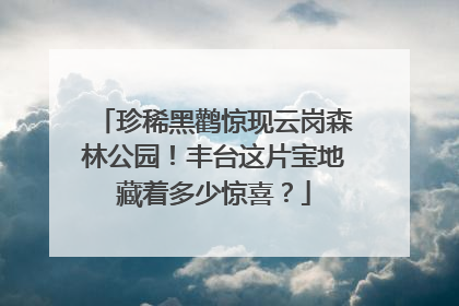 珍稀黑鹳惊现云岗森林公园！丰台这片宝地藏着多少惊喜？