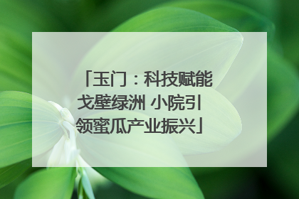 玉门：科技赋能戈壁绿洲 小院引领蜜瓜产业振兴