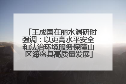 王成国在丽水调研时强调：以更高水平安全和法治环境服务保障山区海岛县高质量发展