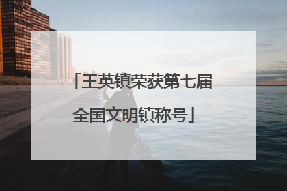 王英镇荣获第七届全国文明镇称号