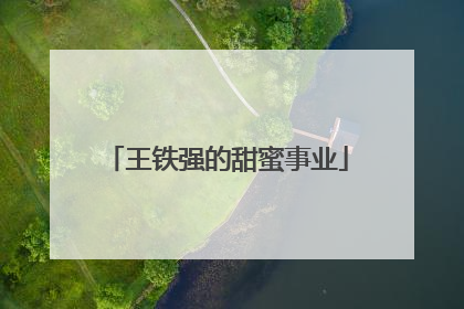 王铁强的甜蜜事业