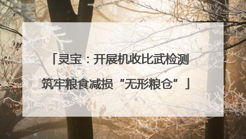 灵宝：开展机收比武检测 筑牢粮食减损“无形粮仓”