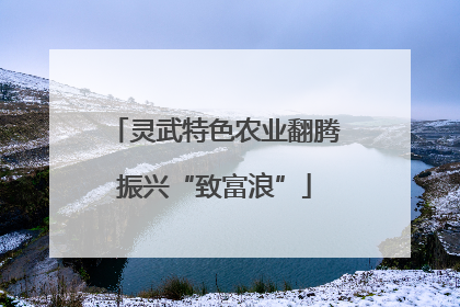 灵武特色农业翻腾振兴“致富浪”