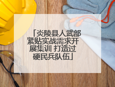 炎陵县人武部紧贴实战需求开展集训 打造过硬民兵队伍