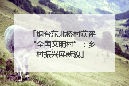 烟台东北桥村获评“全国文明村”：乡村振兴展新貌