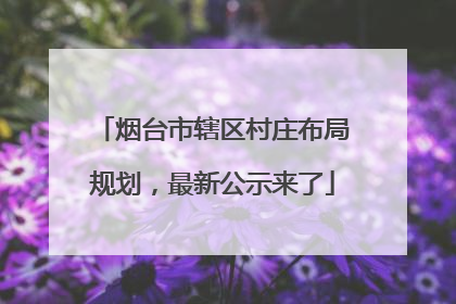 烟台市辖区村庄布局规划，最新公示来了