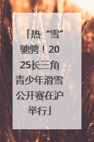 热“雪”驰骋！2025长三角青少年滑雪公开赛在沪举行