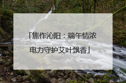 焦作沁阳：端午情浓 电力守护艾叶飘香