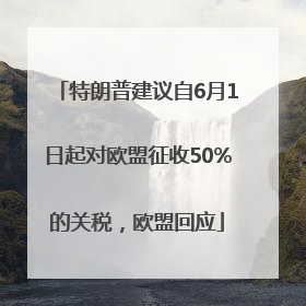 特朗普建议自6月1日起对欧盟征收50%的关税，欧盟回应