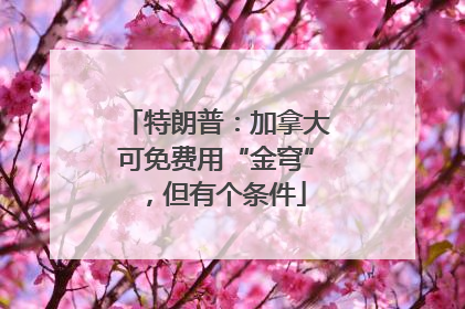 特朗普：加拿大可免费用“金穹”，但有个条件