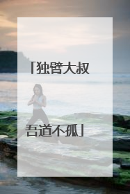 独臂大叔 吾道不孤