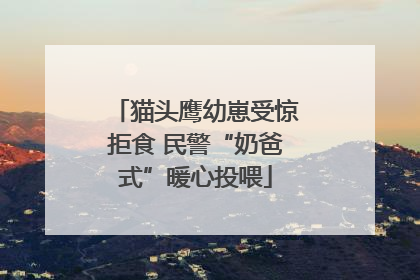 猫头鹰幼崽受惊拒食 民警“奶爸式”暖心投喂