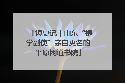短史记｜山东“提学副使”亲自更名的平原闲道书院