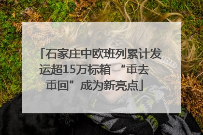 石家庄中欧班列累计发运超15万标箱 “重去重回”成为新亮点