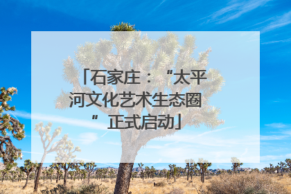 石家庄：“太平河文化艺术生态圈”正式启动