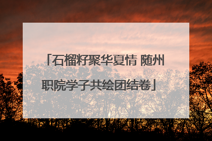 石榴籽聚华夏情 随州职院学子共绘团结卷