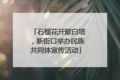 石榴花开耀白塔，新街口举办民族共同体宣传活动