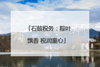 石鼓税务：粽叶飘香 税润童心