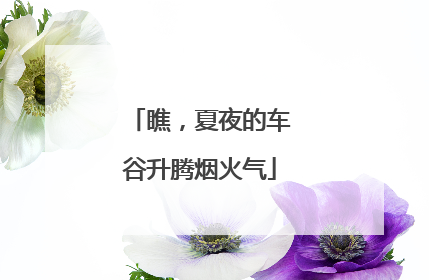 瞧，夏夜的车谷升腾烟火气