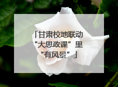 甘肃校地联动“大思政课”里“有风景”