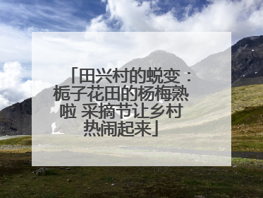 田兴村的蜕变：栀子花田的杨梅熟啦 采摘节让乡村热闹起来