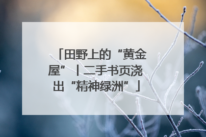 田野上的“黄金屋”丨二手书页浇出“精神绿洲”