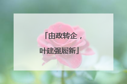 由政转企，叶建强履新