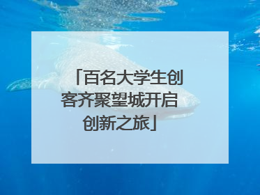 百名大学生创客齐聚望城开启创新之旅