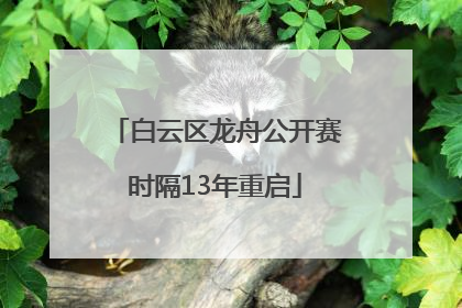 白云区龙舟公开赛时隔13年重启