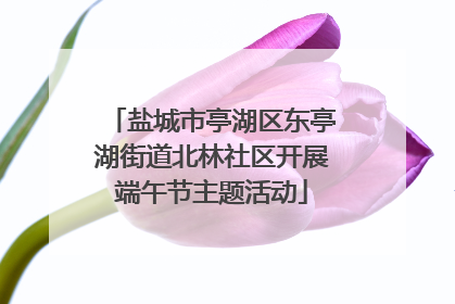 盐城市亭湖区东亭湖街道北林社区开展端午节主题活动