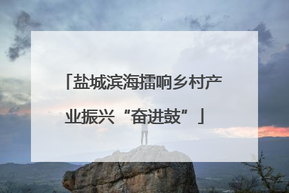 盐城滨海擂响乡村产业振兴“奋进鼓”