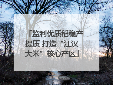 监利优质稻稳产提质 打造“江汉大米”核心产区