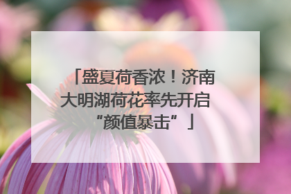 盛夏荷香浓！济南大明湖荷花率先开启“颜值暴击”