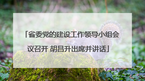 省委党的建设工作领导小组会议召开 胡昌升出席并讲话