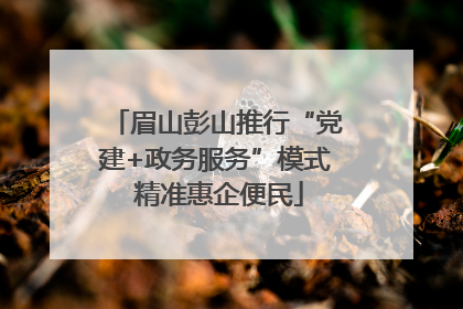 眉山彭山推行“党建+政务服务”模式 精准惠企便民