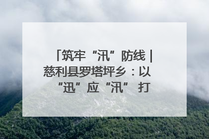 筑牢“汛”防线｜慈利县罗塔坪乡：以“迅”应“汛” 打赢暴雨防御战