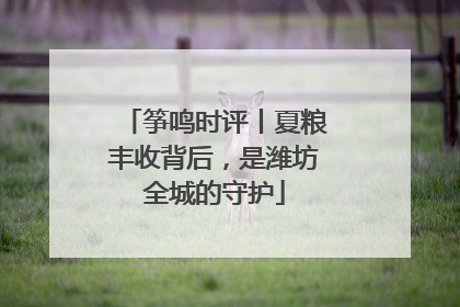 筝鸣时评丨夏粮丰收背后，是潍坊全城的守护