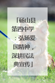 砀山县第四中学：弘扬爱国精神，深耕民法典宣传