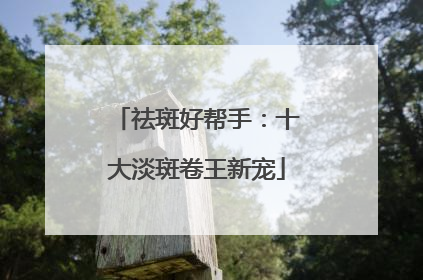 祛斑好帮手：十大淡斑卷王新宠