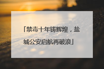 禁毒十年铸辉煌，盐城公安启航再破浪