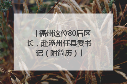 福州这位80后区长，赴漳州任县委书记（附简历）