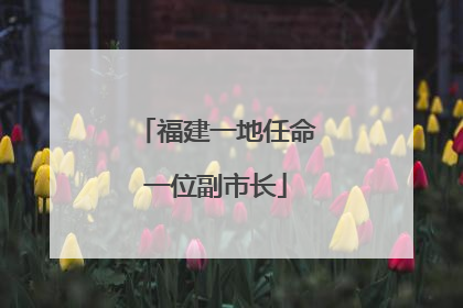 福建一地任命一位副市长
