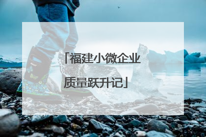 福建小微企业质量跃升记