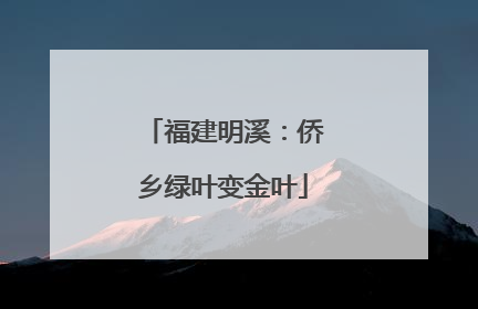 福建明溪：侨乡绿叶变金叶