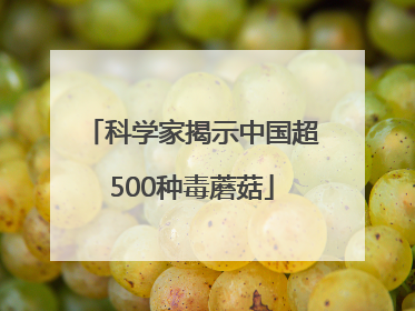 科学家揭示中国超500种毒蘑菇