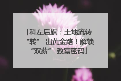 科左后旗：土地流转 “转” 出黄金路！解锁 “双薪” 致富密码