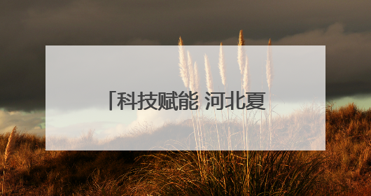科技赋能 河北夏种跑出“加速度”