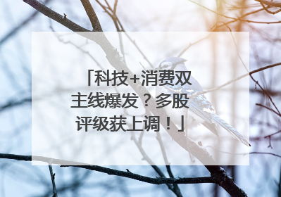 科技+消费双主线爆发？多股评级获上调！