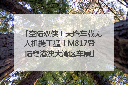 空陆双侠！天鹰车载无人机携手猛士M817登陆粤港澳大湾区车展